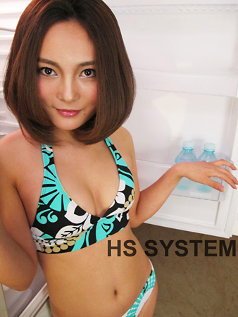 HS SYSTEM