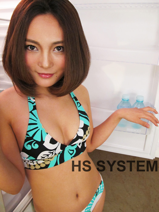 HS SYSTEM
